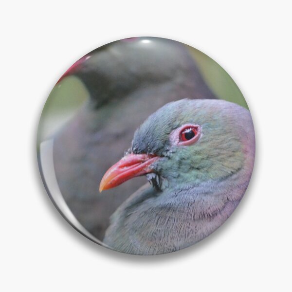 Item preview, New Zealand Wood Pigeon Pair designed and sold by lizdomett.