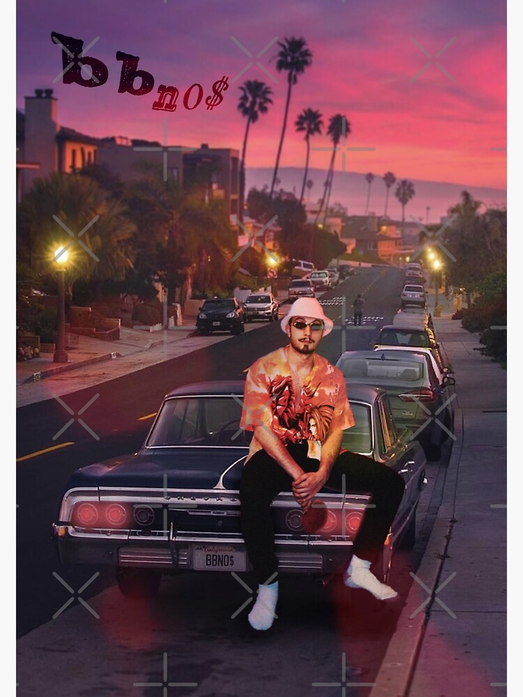  Bbno$ - Bag Or Die Canvas Posters Wall Art Bedroom