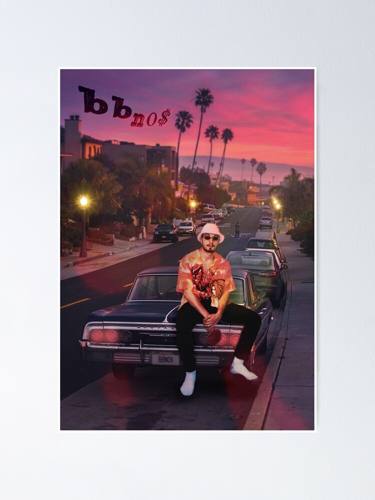  Bbno$ - Bag Or Die Canvas Posters Wall Art Bedroom