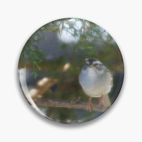 Item preview, Li'l Bird on Birdfeeder designed and sold by kristalcurt.