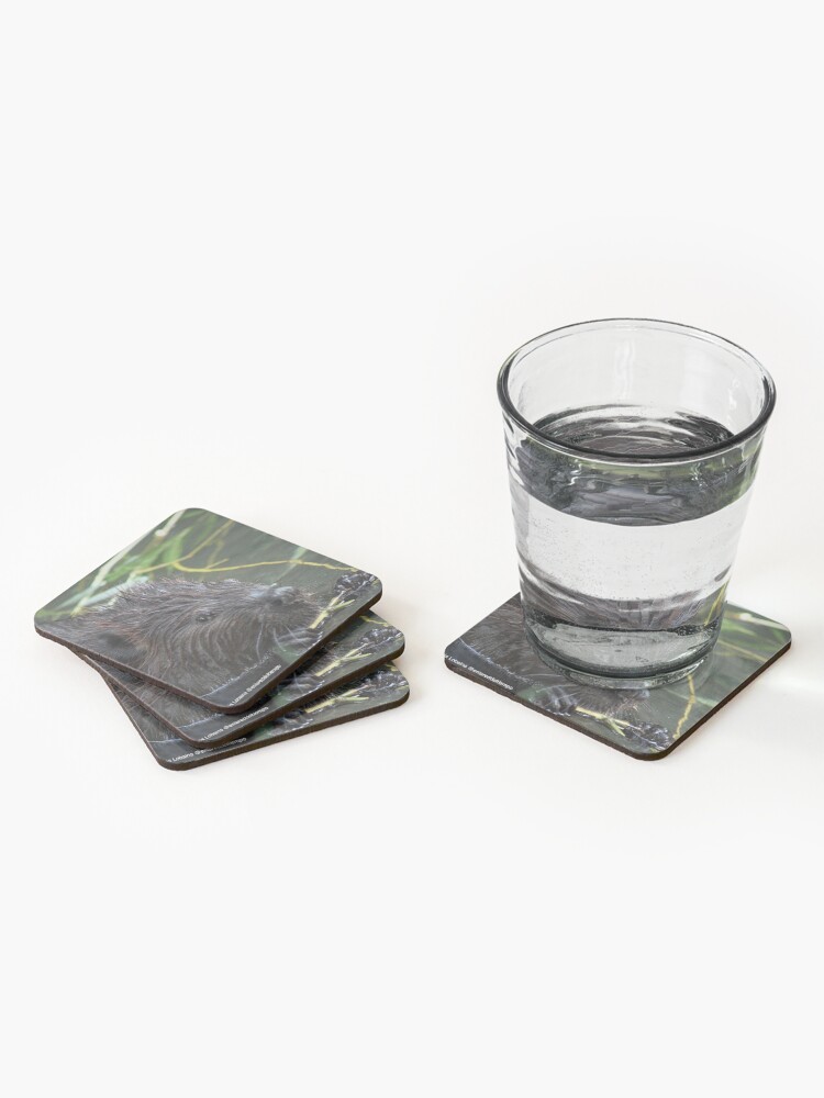 Alternate view of The hungry beaver By Yannis Lobaina Coasters (Set of 4)