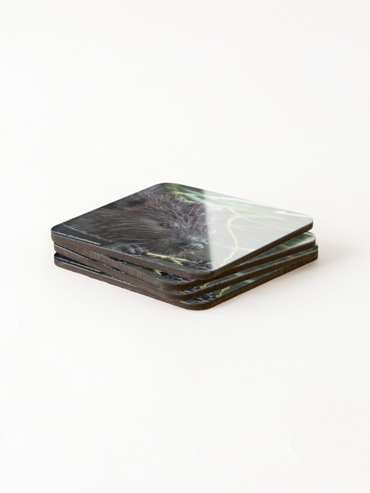 Alternate view of The hungry beaver By Yannis Lobaina Coasters (Set of 4)