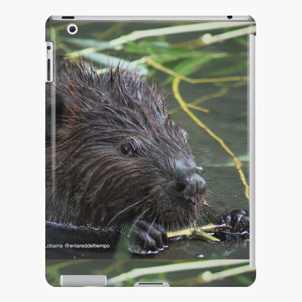 The hungry beaver By Yannis Lobaina iPad Snap Case