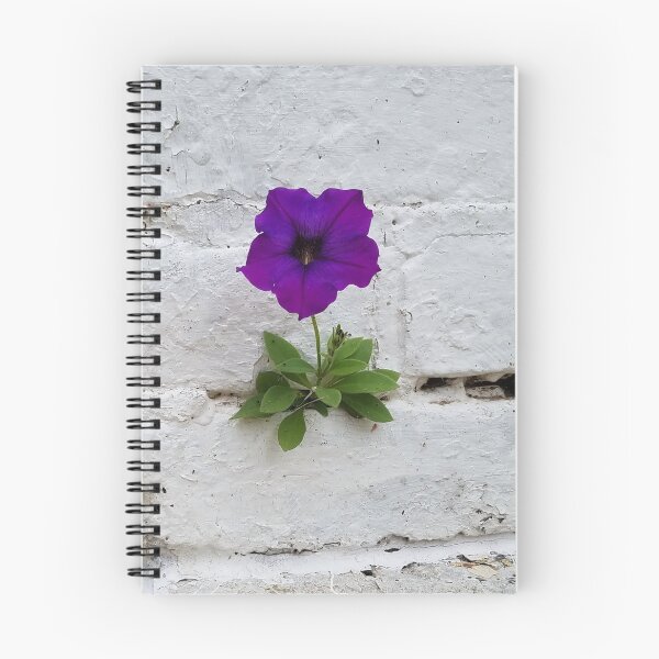 Item preview, Strength and Beauty designed and sold by Rebecca Jane.