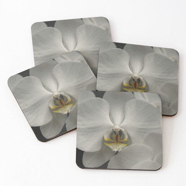 Item preview, White Orchids in Bloom designed and sold by Steven Jodoin.