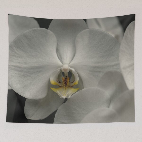 Item preview, White Orchids in Bloom designed and sold by Steven Jodoin.