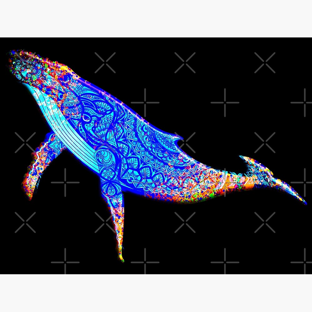 Multicolor abstract humpback whale — Poster