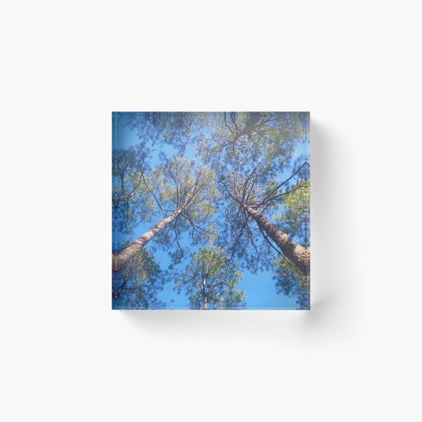 Item preview, Looking up designed and sold by BettyVillalon.