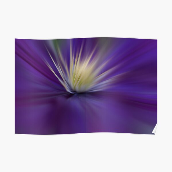 Clematis - Abstract Poster