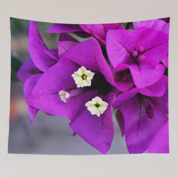 Item preview, Buganvillas designed and sold by Margaret Stevens.