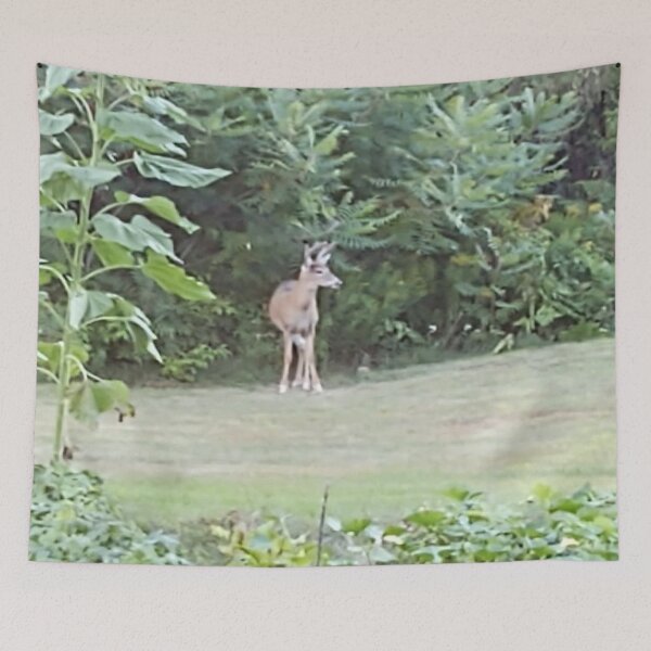 Item preview, White-tail designed and sold by BellsPainting.