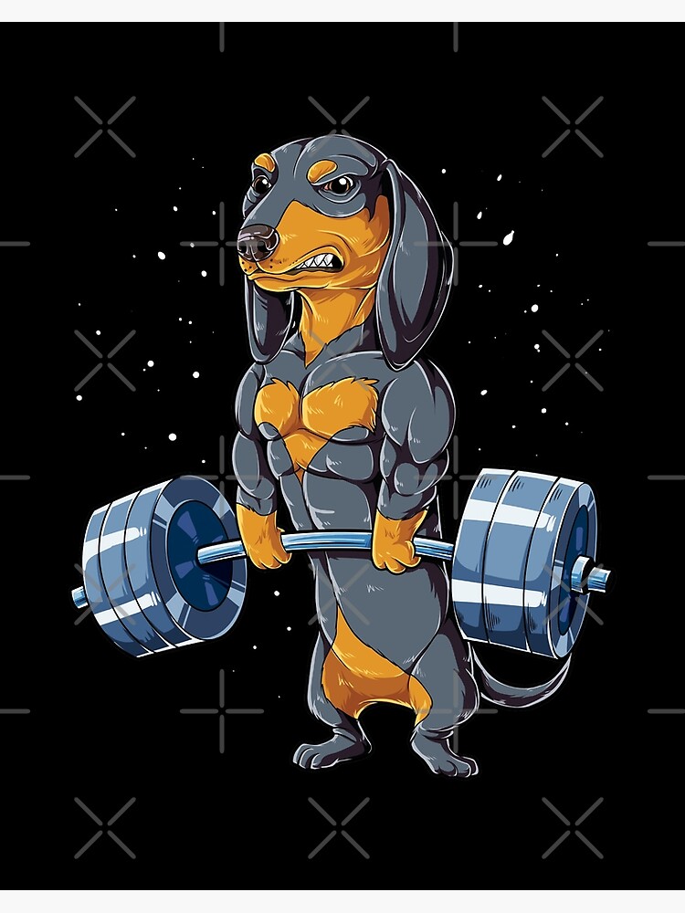 Dachshund Weightlifting Funny Deadlift Men Fitness Gym Gifts T-Shirt 