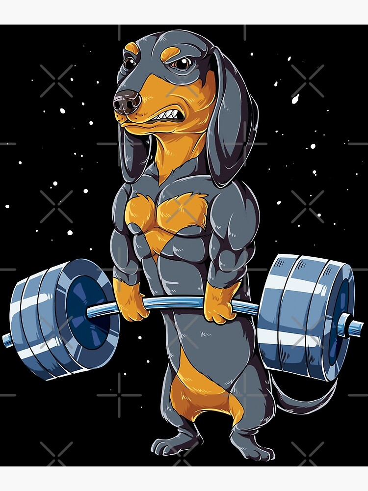 Dachshund Weightlifting Funny Gift For Deadlift Men Fitness Gym Gifts Tank  Top