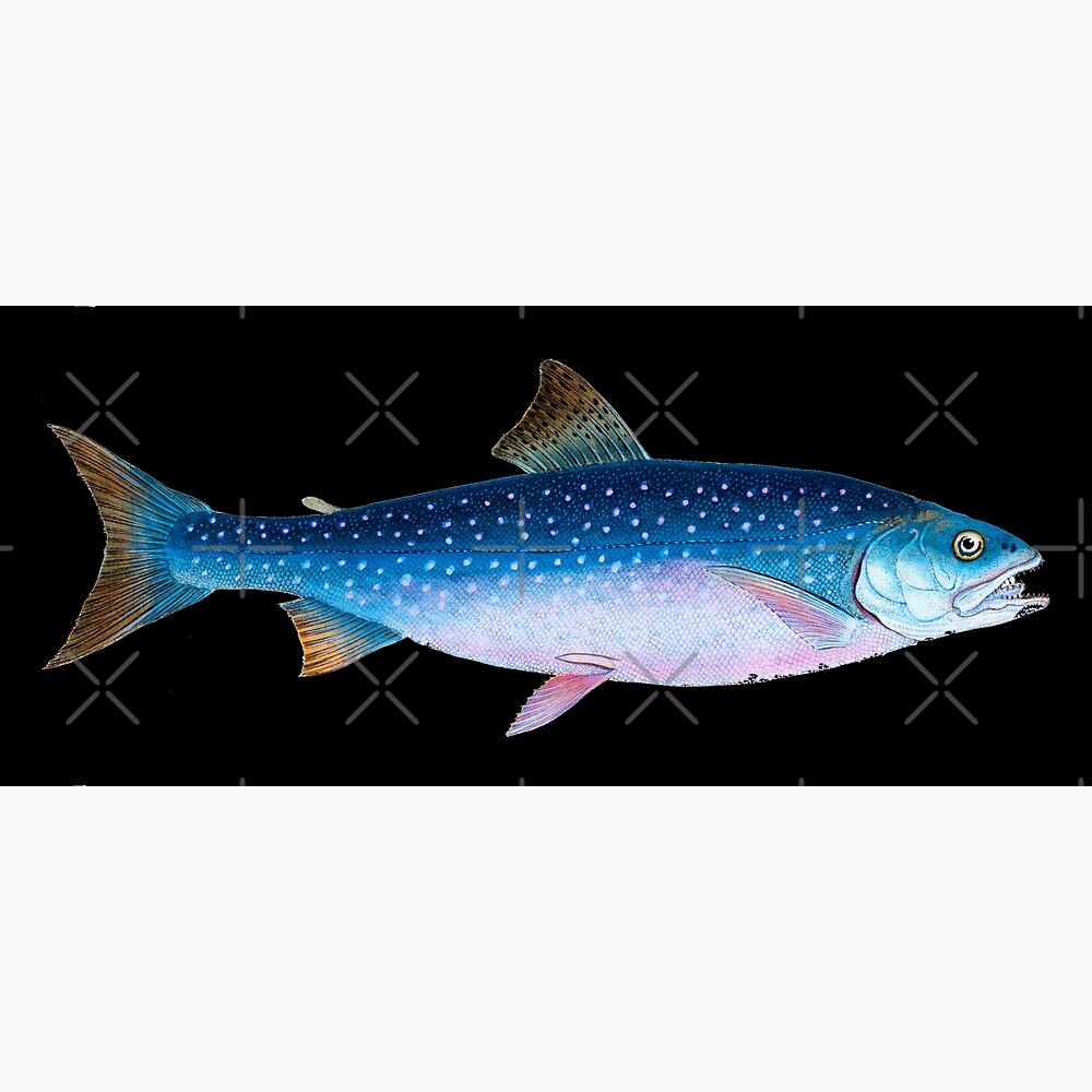 Gone fishing - The fisherman's dream — Poster