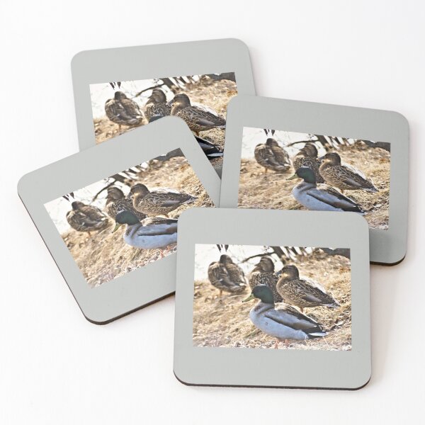 Item preview, Mallard Ducks designed and sold by kristalcurt.
