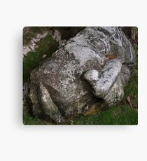 Stone Carving Canvas Print