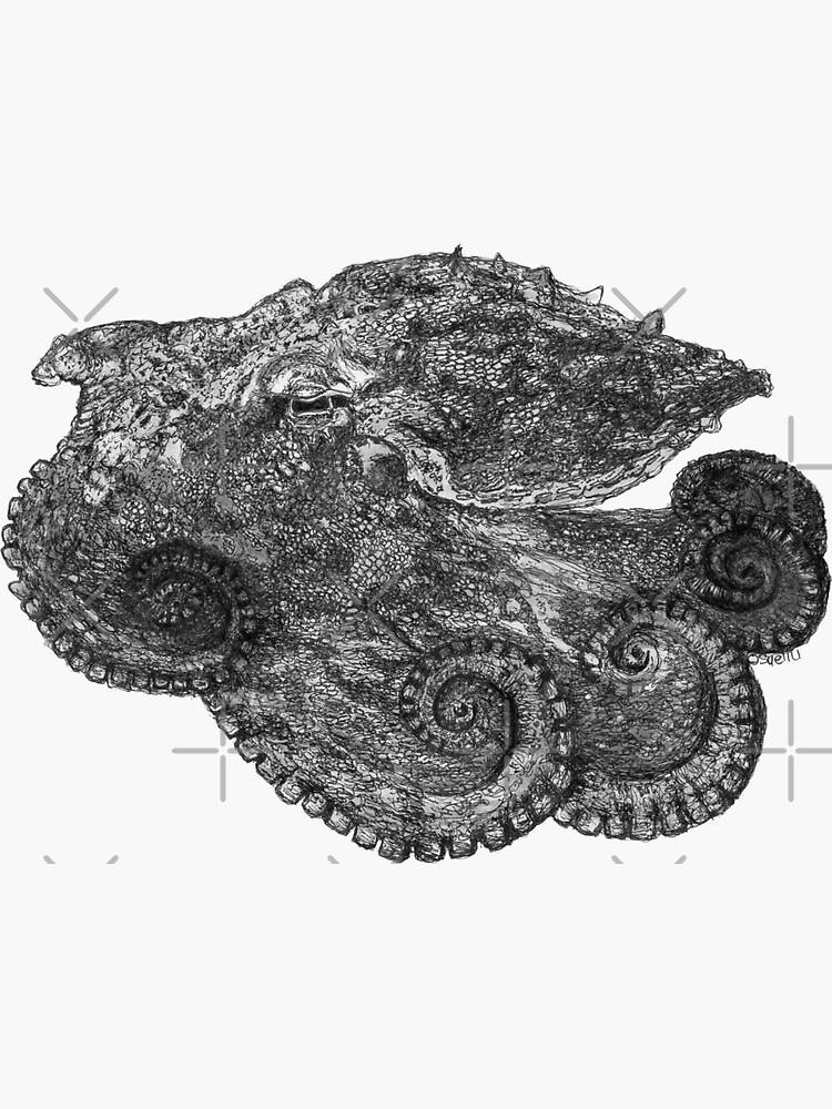 Augustus the Octopus by Wildcard-Sue