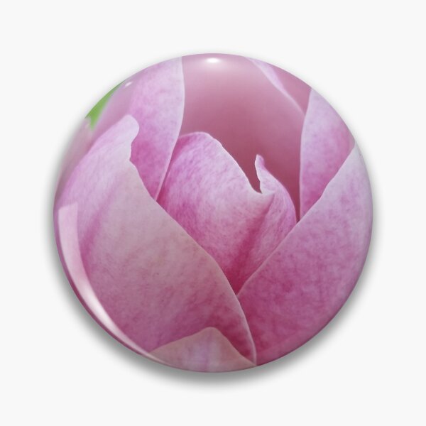 Item preview, Magnolia Bud (Photograph: Unfiltered) designed and sold by Lori Ackley.