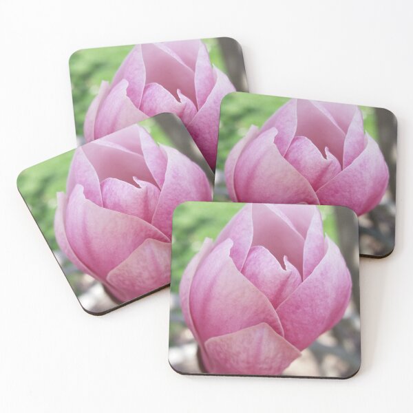 Item preview, Magnolia Bud (Photograph: Unfiltered) designed and sold by Lori Ackley.