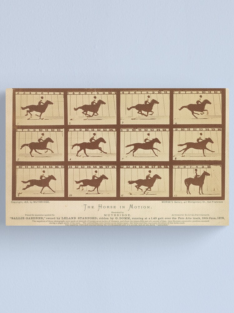 Eadweard Muybridge's The Horse in Motion