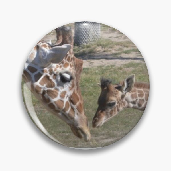 Artikelvorschau, Retikulierte Giraffe trifft Masai-Kalb entworfen und verkauft von akdcash.