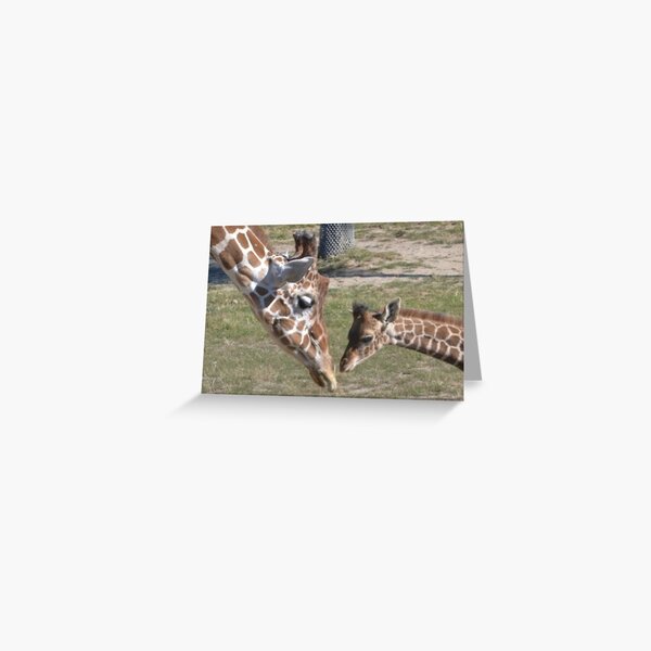 Item preview, Reticulated Giraffe meets Masai calf designed and sold by akdcash.