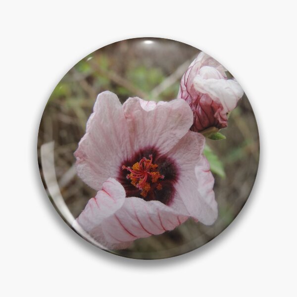 Item preview, Wild Hibiscus - Hibiscus trionum designed and sold by Marilyn Harris.
