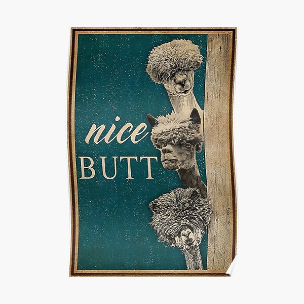 Alpaca Nizza Hintern lustige Geschenke Poster