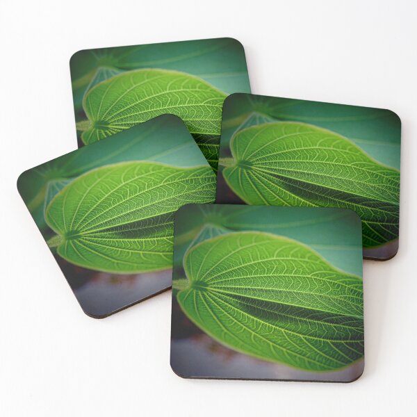 Item preview, Textured Leaf - Patterns of Nature designed and sold by Marilyn Harris.
