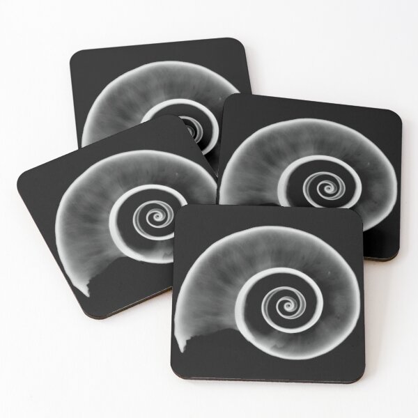 Item preview, Xray of Sharks Eye Shell, Original Black/White designed and sold by xrayjessie.