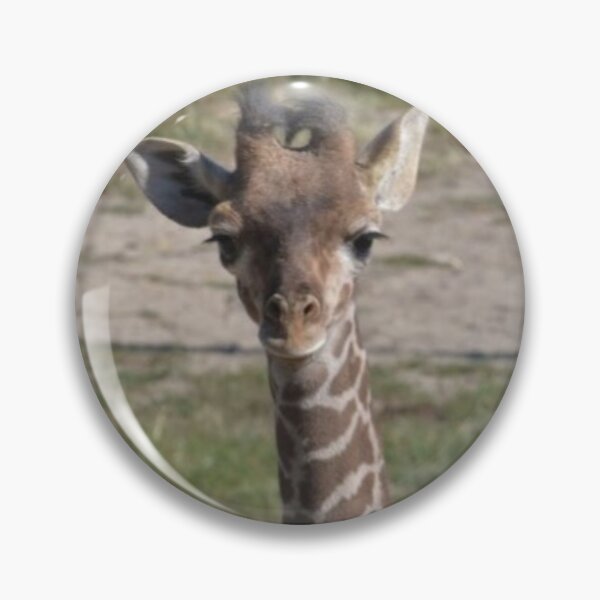 Item preview, Masai Giraffe Calf designed and sold by akdcash.
