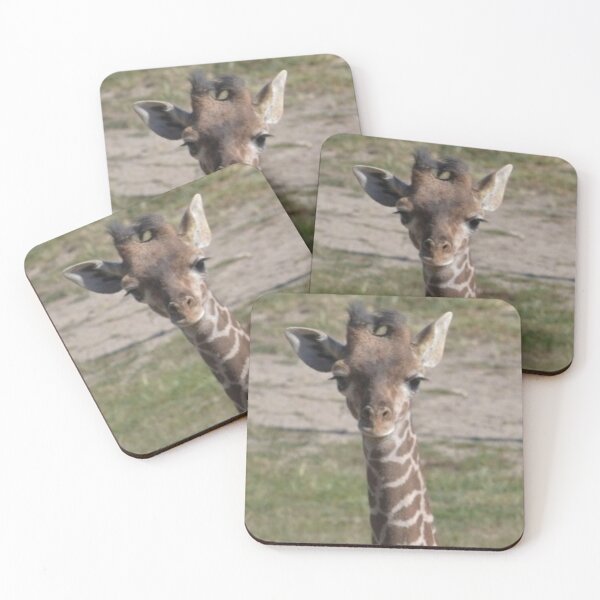 Item preview, Masai Giraffe Calf designed and sold by akdcash.
