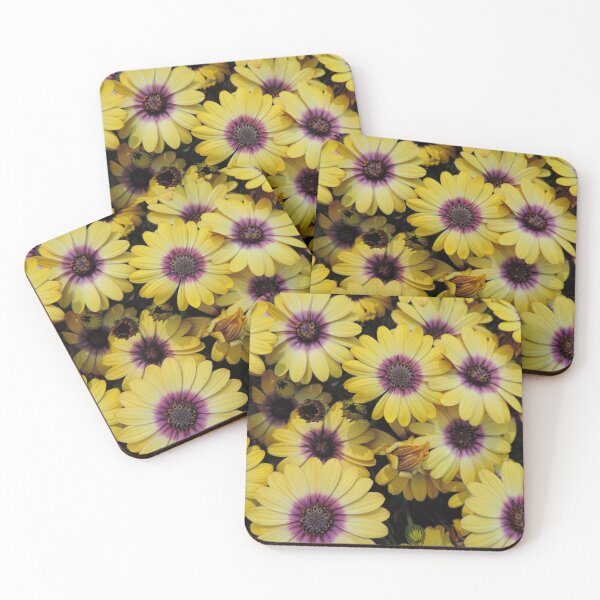Item preview, Osteospermum 'Serenity Blue Eyed Beauty' designed and sold by Marilyn Harris.