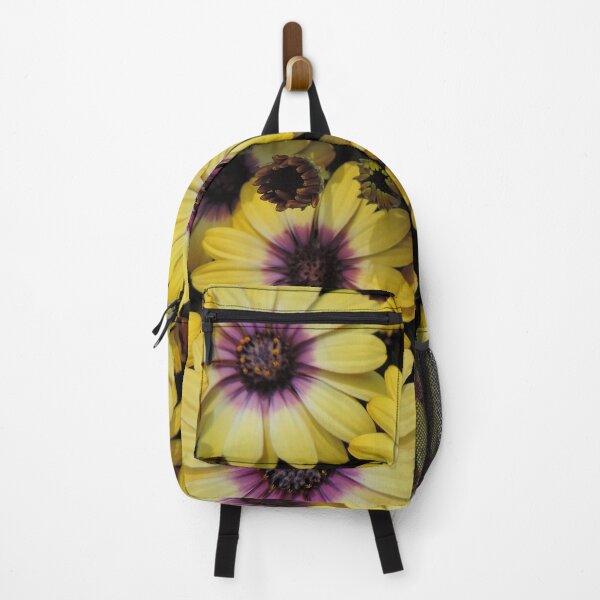 Item preview, Osteospermum 'Serenity Blue Eyed Beauty' designed and sold by Marilyn Harris.