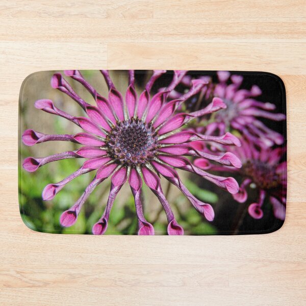 Item preview, Osteospermum – ‘Whirlygig’ designed and sold by Marilyn Harris.