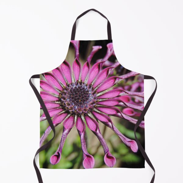 Item preview, Osteospermum – ‘Whirlygig’ designed and sold by Marilyn Harris.