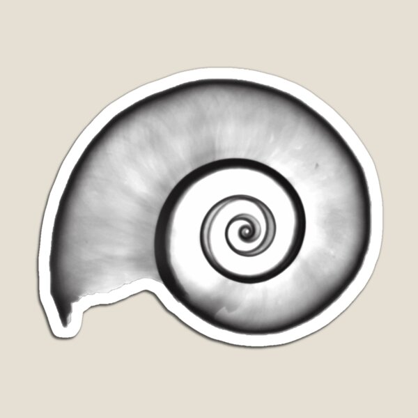 Item preview, Xray of Sharks Eye Shell, Inverse of Original designed and sold by xrayjessie.