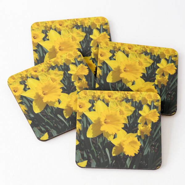Item preview, Golden Daffodils - Daffodil Festival, Rydal, New South Wales. designed and sold by Marilyn Harris.