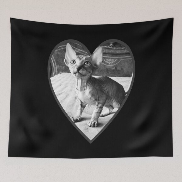 Item preview, Sphynx Kitten - Hairless Cat designed and sold by SMilllar.