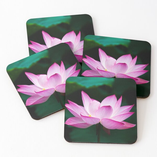 Item preview, Lotus Flower  designed and sold by Amanda1775.