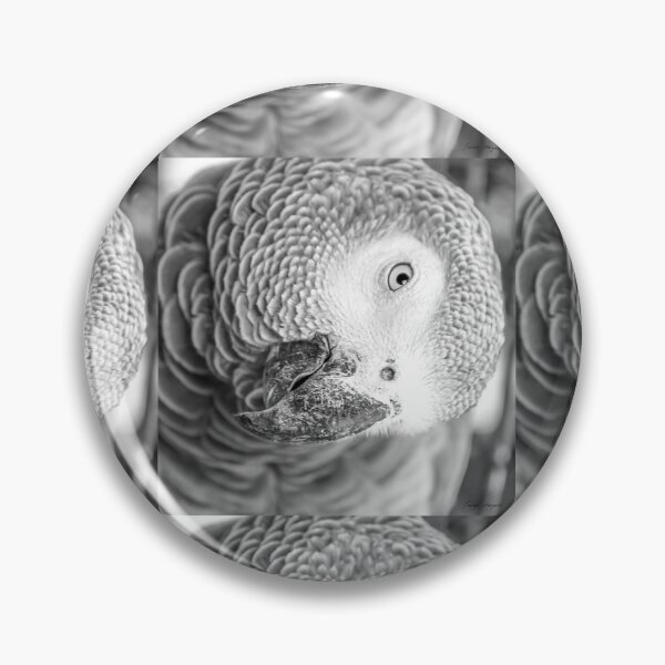 Item preview, Repeat after Me designed and sold by Richitch.