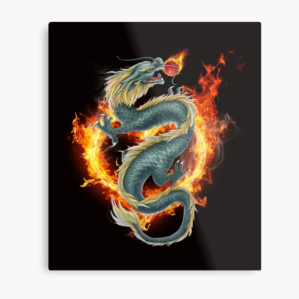 Metallbilder Blauer Drache Redbubble