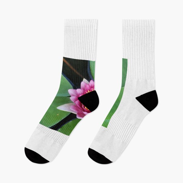 Item preview, lotus flower in jeju island of south korea. designed and sold by human8891.
