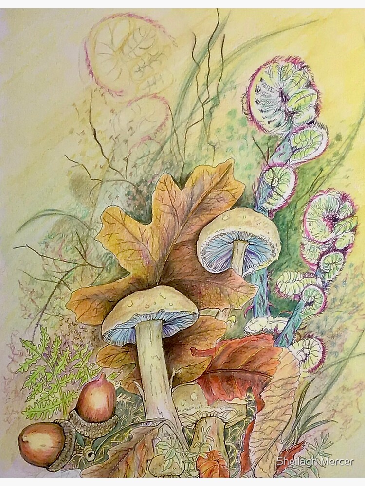 Forest Magic by SpiritArt777