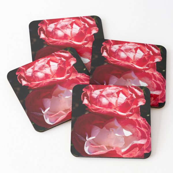 Item preview, Doubllle red roses 11 designed and sold by Jouko Lehto Photography.