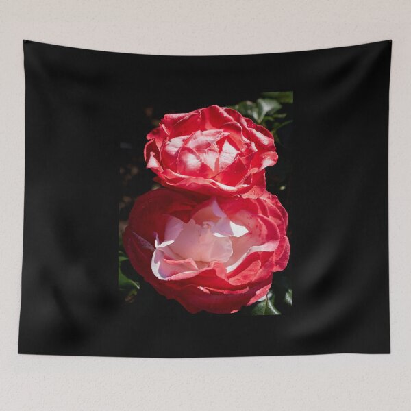 Item preview, Doubllle red roses 11 designed and sold by Jouko Lehto Photography.