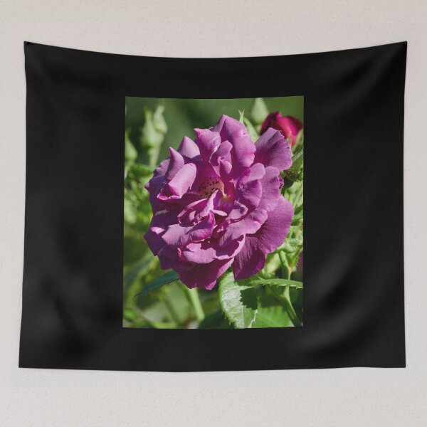 Item preview, The Purple rose  number 12 designed and sold by Jouko Lehto Photography.