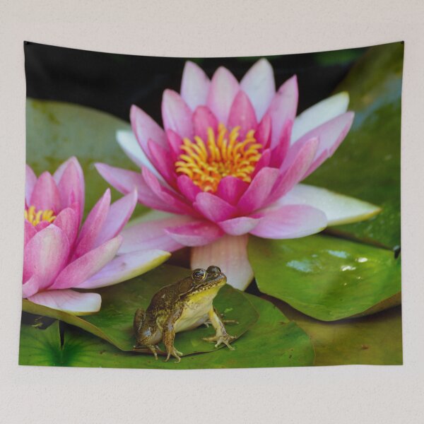 Item preview, Frog on a Lily Pad Art Print designed and sold by Mexikawaii.