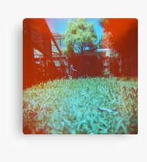 Lawnmowing Canvas Print