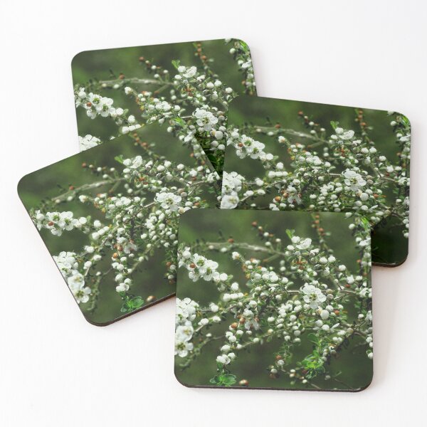 Item preview, Blossoms on Green - Leptospermum designed and sold by Marilyn Harris.
